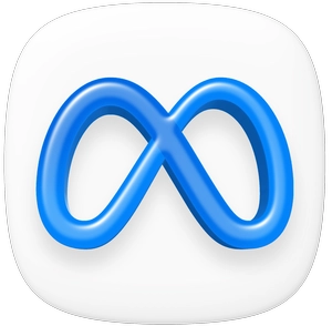 meta ads management services